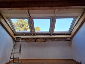 PHOTO-2022-09-01-20-11-46