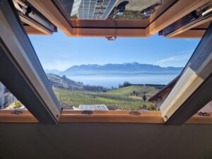 WhatsApp Image 2026-02-25 at 10.52.09 (1)