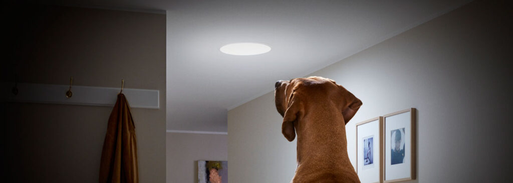 <br /> <b>Warning</b>: Undefined variable $zone in <b>/home/clients/33004ee8831fb0d8978770654b900959/web/wp-content/themes/badet/blocks/non-clickable-products.php</b> on line <b>9</b><br /> <br /> <b>Warning</b>: Trying to access array offset on value of type null in <b>/home/clients/33004ee8831fb0d8978770654b900959/web/wp-content/themes/badet/blocks/non-clickable-products.php</b> on line <b>9</b><br />